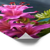 "Flüstern der Natur: Hummingbird, Wasserfall Poster (Ecke)