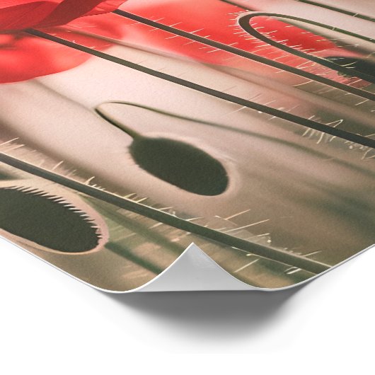 Flüstern der Poppies Poster (Ecke)