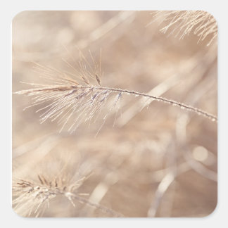 "Flüstern der Schönheit der Natur" Quadratischer Aufkleber