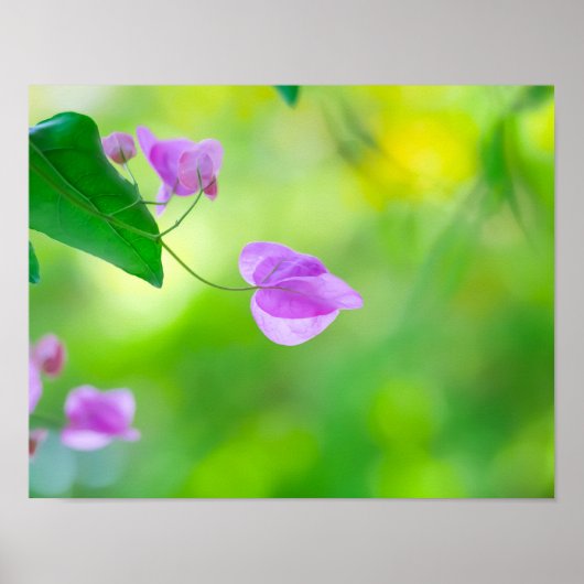 Flüstern des Morgenlichts Poster (Vorne)