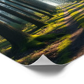 Flüstern des Waldes - Ein Weg zum Licht und zum He Poster (Ecke)