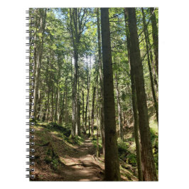 Flüstern des Waldes Notizblock