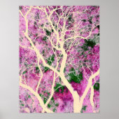 Flüstern des Waldland-Posters Poster (Vorne)