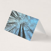 Flüstern des Whisperwaldes (Vorderseite)