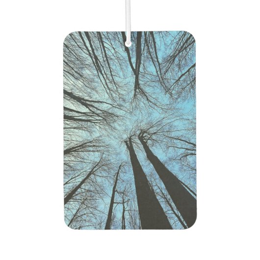 Flüstern des Whisperwaldes Autolufterfrischer (Vorderseite)