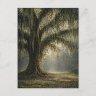 Flüsternde Eiche   Naturpostkarte   Düstere Waldla Postkarte