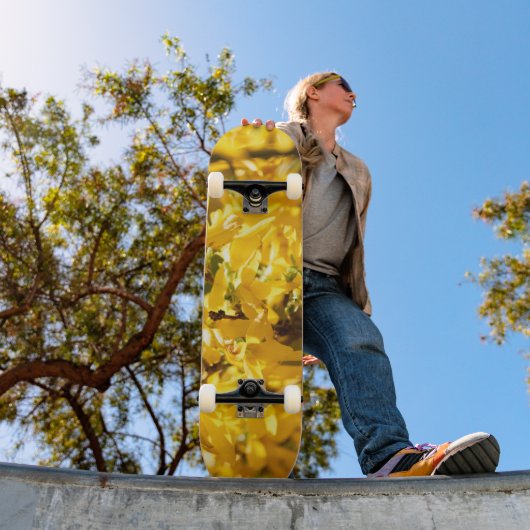 Flüsternder Gold Skateboard (Außenbereich 1)