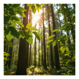 Flüsterwald Fotodruck