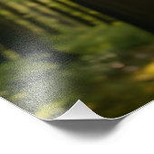 Flüsterwald Fotodruck (Ecke)