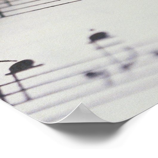 Flute auf Noten Poster (Ecke)