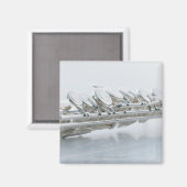 Flute Magnet (Vorderseite/Rückseite)
