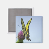 Flutter Magnet (Vorderseite/Rückseite)