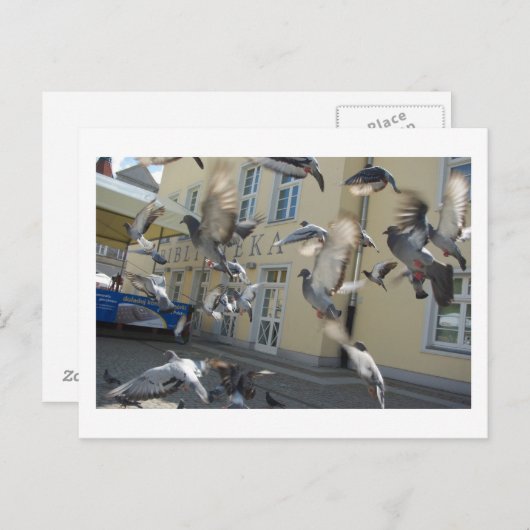 Flutter Postkarte (Vorne/Hinten)