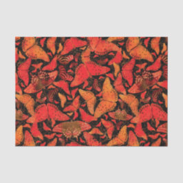 Flutterby Fall-Schmetterlinge auf Schwarzem Seidenpapier