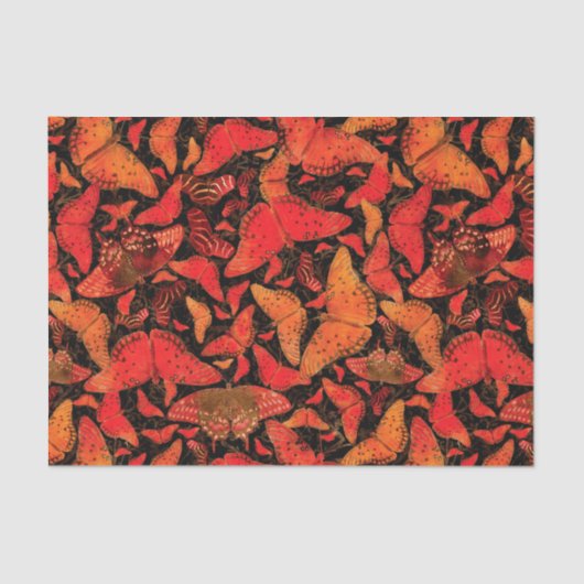 Flutterby Fall-Schmetterlinge auf Schwarzem Seidenpapier (Vorderseite)