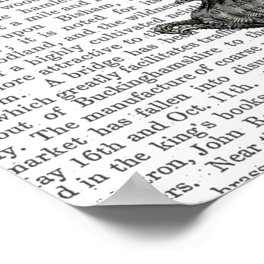 Flutzeit Poster (Ecke)