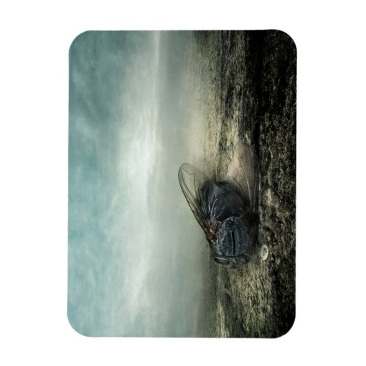 Fly 2013 magnet (Vertikal)