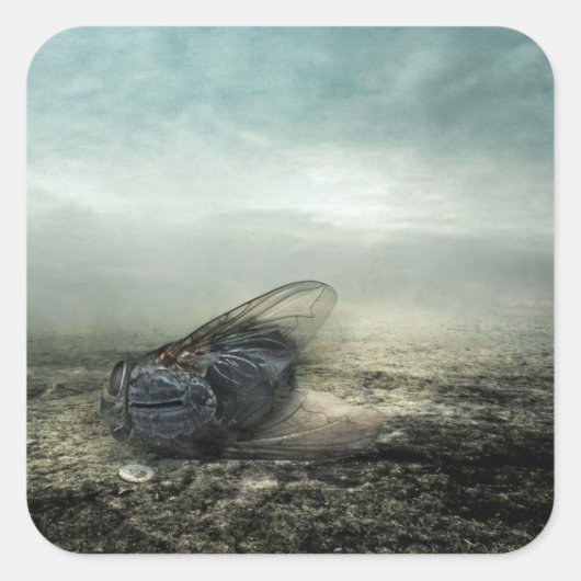 Fly 2013 quadratischer aufkleber (Vorderseite)