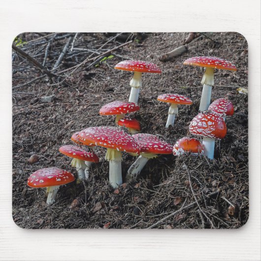 Fly agaric mousepad (Vorne)