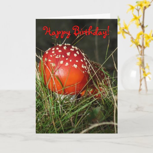 "Fly Agaric Mushroom" Geburtskarte Karte (Gelbe Blume)