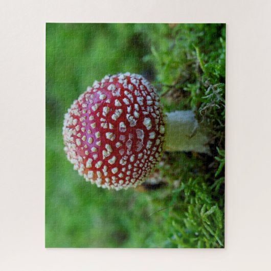 Fly Agaric Mushroom Jigsaw Puzzle (Vertikal)
