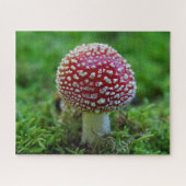 Fly Agaric Mushroom Jigsaw Puzzle (Horizontal)