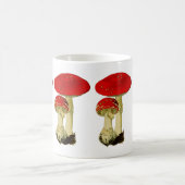 Fly agaric mushroom kaffeetasse (Mittel)