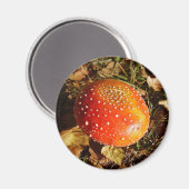 Fly Agaric Mushroom Magnet (Vorderseite/Rückseite)
