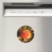 Fly Agaric Mushroom Magnet (In Situ (Geschirrspüler))