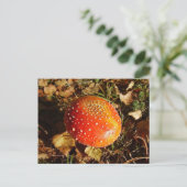Fly Agaric Mushroom Postcard Postkarte (Stehend Vorderseite)