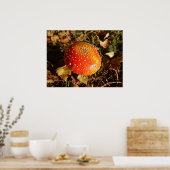 Fly Agaric Mushroom Poster (Küche)