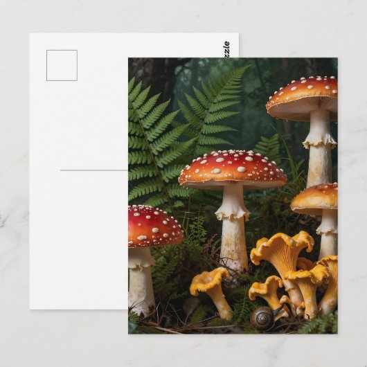 Fly Agaric Mushrooms Forest Botanical Postkarte (Vorne/Hinten)