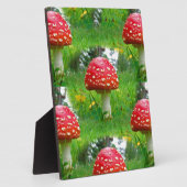 Fly Agaric Mushrooms Fotoplatte (Seite)