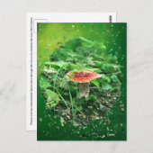 Fly Agaric - Postkarte (Vorne/Hinten)
