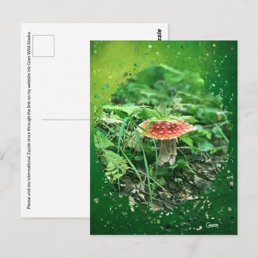 Fly Agaric - Postkarte (Vorne/Hinten)