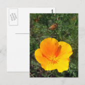 Fly Away Bee Postcard Postkarte (Vorne/Hinten)