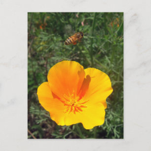 Fly Away Bee Postcard Postkarte