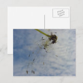 Fly Baby Postkarte (Vorne/Hinten)