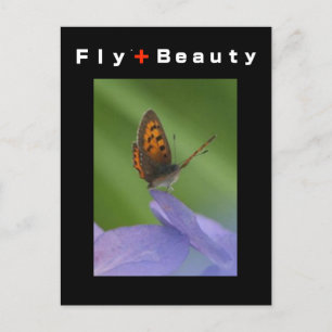 FLY + Beauty Postkarte