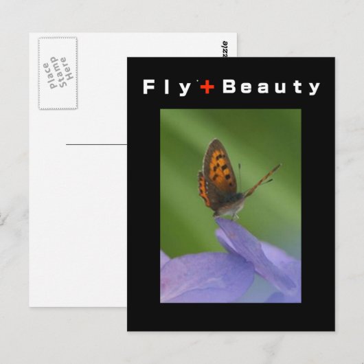 FLY + Beauty Postkarte (Vorne/Hinten)