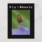 FLY + Beauty Postkarte (Vorderseite)