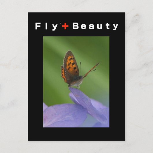 FLY + Beauty Postkarte (Vorderseite)