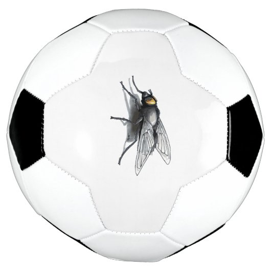 Fly Buddy Fußball (Gedreht)