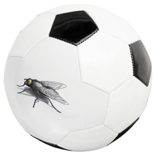 Fly Buddy Fußball (Dreiviertel)