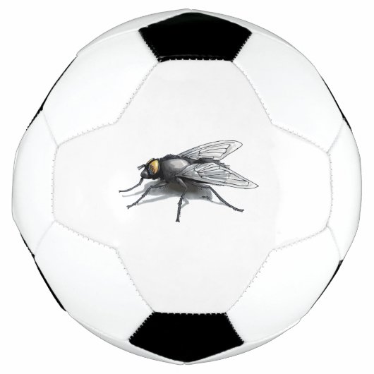 Fly Buddy Fußball (Vorderseite)