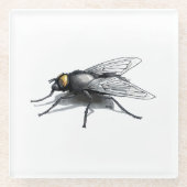 Fly Buddy Gigant fliegt Klarglas-Untersetzer Glasuntersetzer (Vorderseite)