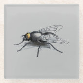 Fly Buddy Gigant Fly Grauglas Untersetzer (Vorderseite)