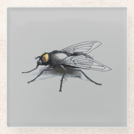 Fly Buddy Gigant Fly Grauglas Untersetzer (Vorderseite)