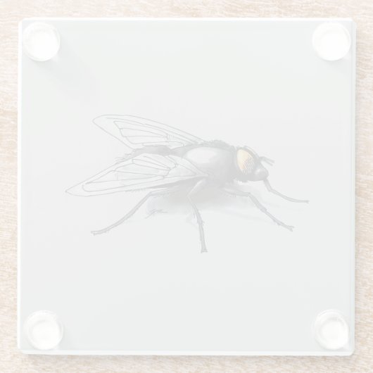 Fly Buddy Gigant Fly Grauglas Untersetzer (Rückseite)