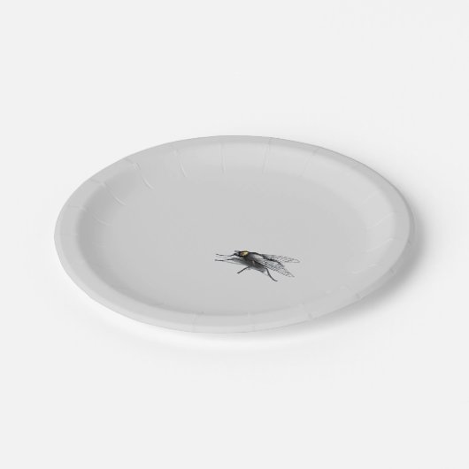 Fly Buddy graue Teller (Schrägansicht)
